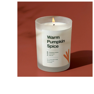 Plant Therapy brand Warm Pumpkin Spice Naturally Scented Candle
